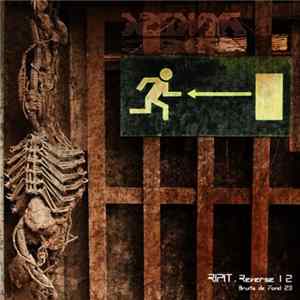 Ripit - Reverse 12 FLAC