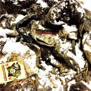 Waxolutionists - Counter Fight FLAC