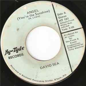 David Sea - Angel (You're The Sunshine) FLAC