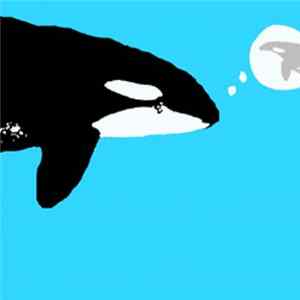 Felix K + Wan.2 - Second Step Into Water Or The Thought Of The Orca FLAC