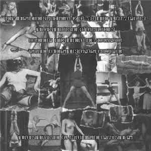 Eviscerated Zombie Tampon / Torture Border / Deep Fried Embryo / She Destroys Hope - Torture & Noise Part 4 FLAC
