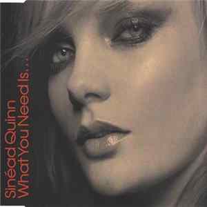 Sinéad Quinn - What You Need Is... FLAC