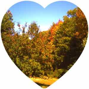 Specta Ciera - Scarlet Hill FLAC