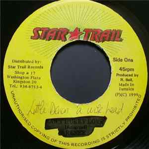 Little Devon - A Wise Head FLAC