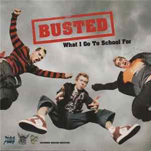 Busted - What I Go To School For FLAC