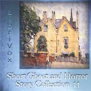 Various - Short Ghost And Horror Story Collection 11 FLAC