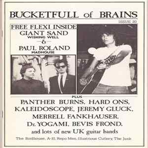Paul Roland / Giant Sand - Madhouse / Wishing Well FLAC