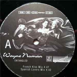 Wayne Numan - Entangled FLAC