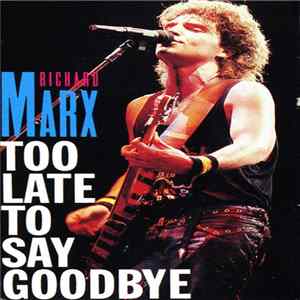 Richard Marx - Too Late To Say Goodbye FLAC
