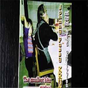 Johnny Fuzzy Kruz And The Mindexplosions - The Smallest hits gran'ma FLAC