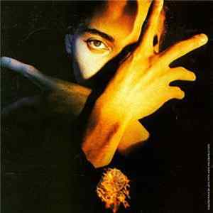 Terence Trent D'Arby - Terence Trent D'Arby's Neither Fish Nor Flesh: A Soundtrack Of Love, Faith, Hope, And Destruction FLAC