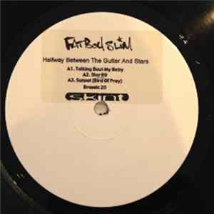 Fatboy Slim - Halfway Between The Gutter And The Stars FLAC