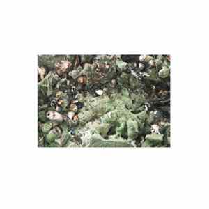 Astrid Sonne - Human Lines FLAC