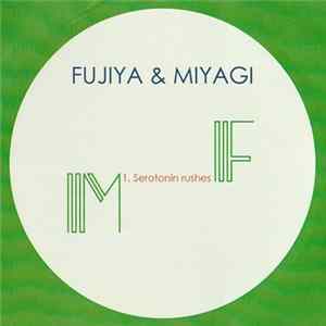 Fujiya & Miyagi - Serotonin Rushes FLAC