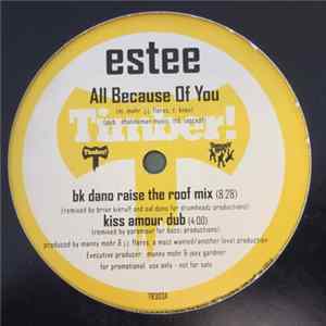 Estee - All Because Of You FLAC