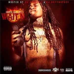 Chaz Gotti - Wait'n FLAC