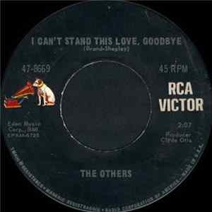 The Others - I Can't Stand This Love, Goodbye / Until I Heard It From You FLAC