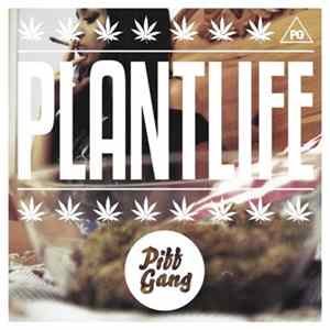 Piff Gang - Plantlife FLAC