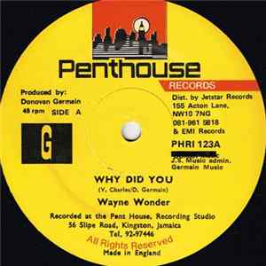 Wayne Wonder - Why Did You FLAC