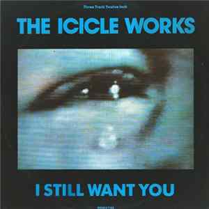 The Icicle Works - I Still Want You FLAC
