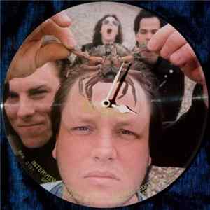 Pixies - Limited Edition Interview Picture Disc FLAC