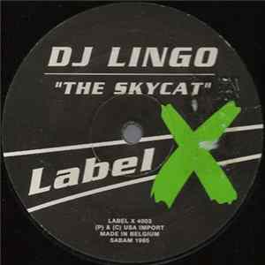 DJ Lingo & The Skycat - Open Your Mind FLAC