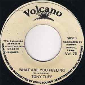 Tony Tuff - What Are You Feeling FLAC