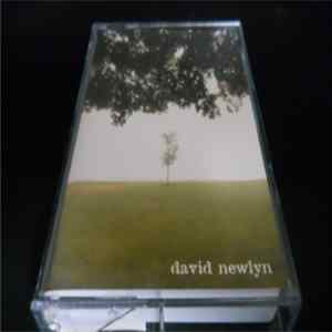David Newlyn - A Nervous State Of Mind FLAC