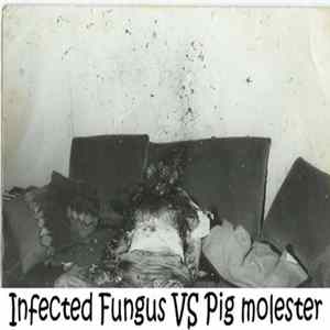 Infected Fungus / Pig Molester - Split FLAC