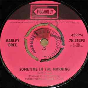 Barley Bree - Sometime In The Morning / Save Your Love FLAC