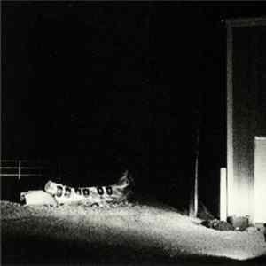 Cloud Nothings - Last Building Burning FLAC