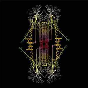 新月 Project - 冬の旅 = Winter Journey Live Tour 2017 FLAC