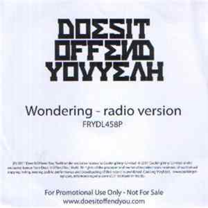 Does It Offend You, Yeah? - Wondering FLAC