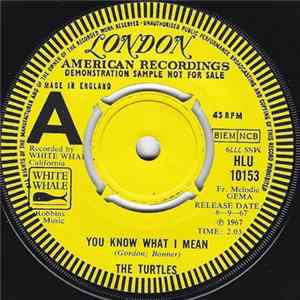 The Turtles - You Know What I Mean FLAC