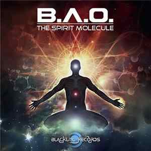 B.A.O. - The Spirit Molecule FLAC