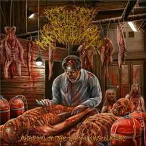 Sensor Motorik - Anatomy Of The Human Vasculature FLAC
