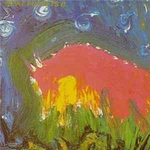 Meat Puppets - Meat Puppets II FLAC