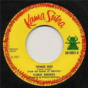 Flamin' Groovies - Teenage Head FLAC