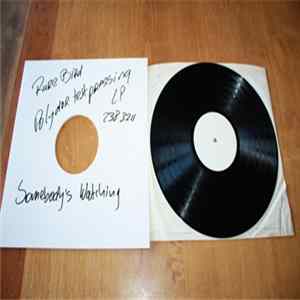 Rare Bird - Somebody's Watching FLAC