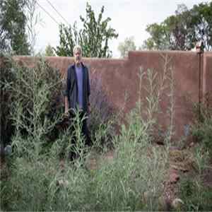 David Dunn - Listening To What I Cannot Hear FLAC