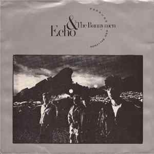 Echo & The Bunnymen - Bedbugs And Ballyhoo FLAC