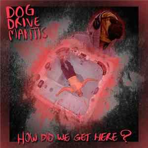 Dog Drive Mantis - How Did We Get Here? FLAC