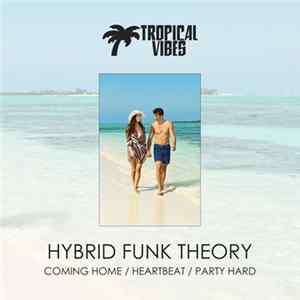 Hybrid Funk Theory - Coming Home / Heartbeat / Party Hard FLAC