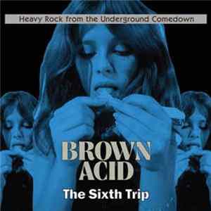 Various - Brown Acid: The Sixth Trip (Heavy Rock From The Underground Comedown) FLAC