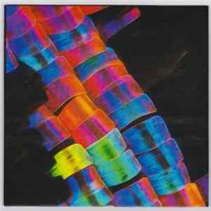 Peter Gabriel - WOMAD FLAC