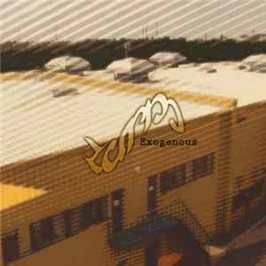 Zurm - Exogenous FLAC