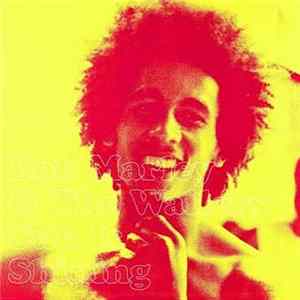 Bob Marley & The Wailers - Sun Is Shining FLAC