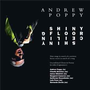 Andrew Poppy - Shiny Floor Shiny Ceiling FLAC