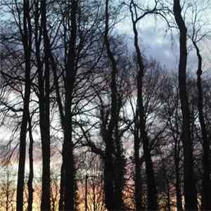 Nice Cold Nation - Last Kiss At Dawn FLAC