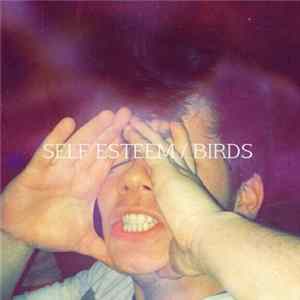Future Nest - self esteem / birds EP FLAC